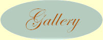 Vintage Thread | Gallery